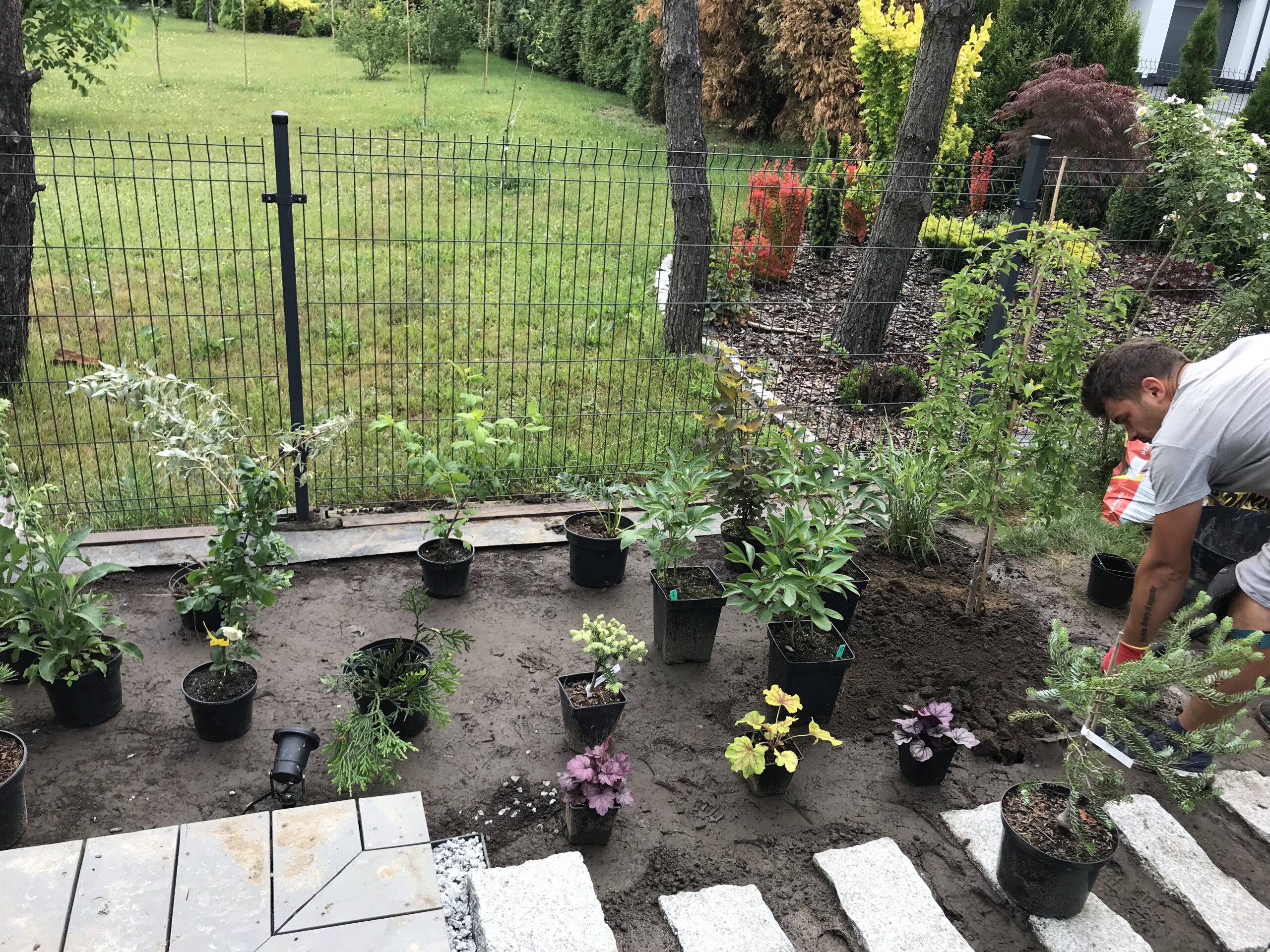 Sadzenie roślin - Hej!Gotowe