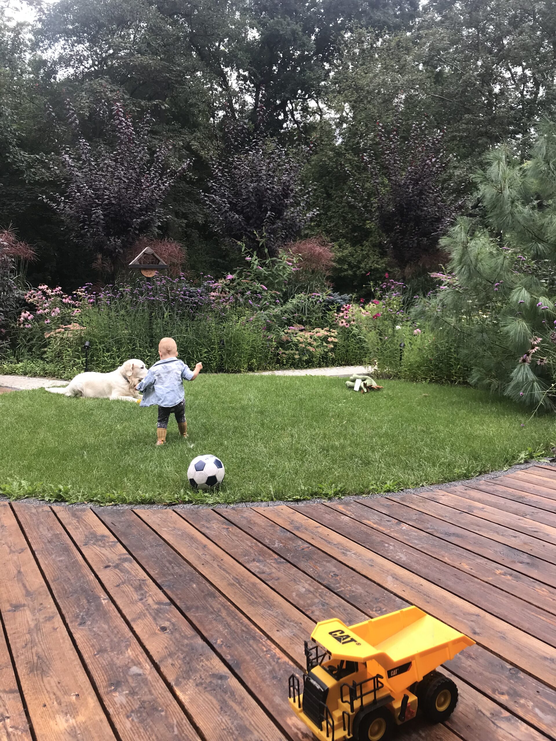 Taras i trawnik - ogród rodzinny